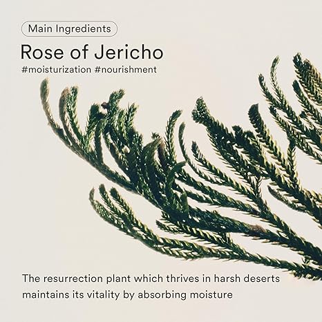Abib Jericho Rose Creme Nutrition Tube 75ml - Image 2