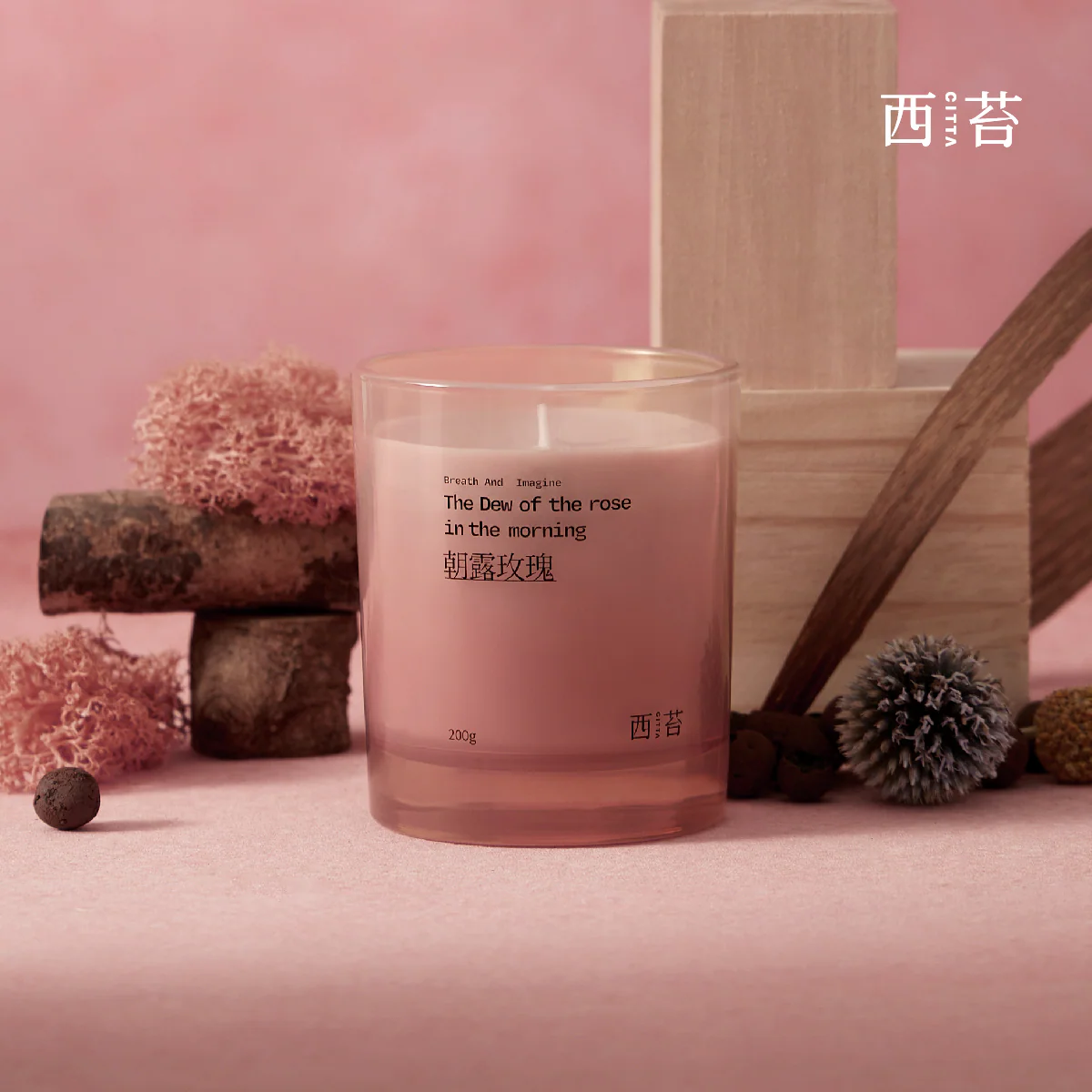 Citta Gold Mountain Rose Series Morning Dew Rose