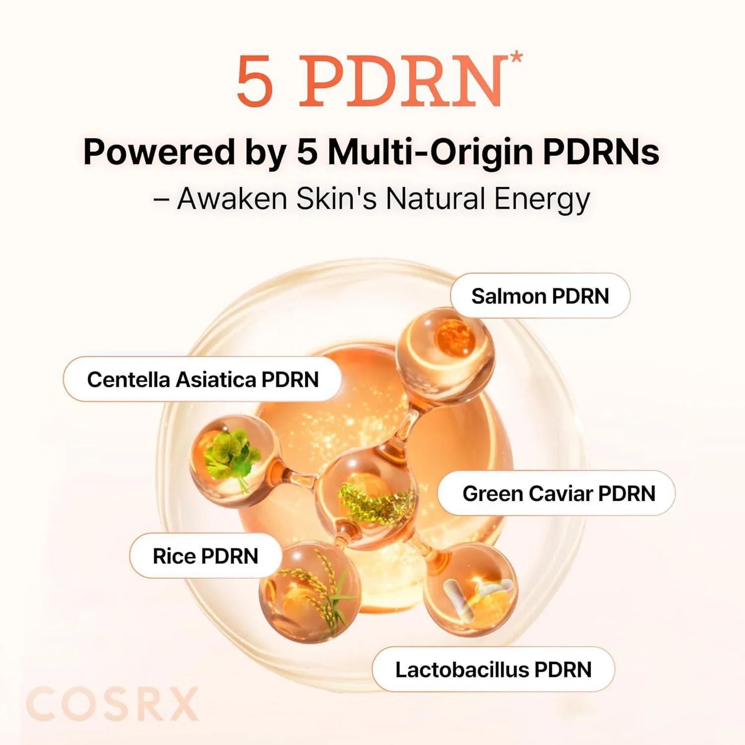 Cosrx 5 Pdrn Collagen Intense Serum 100ml - Image 2